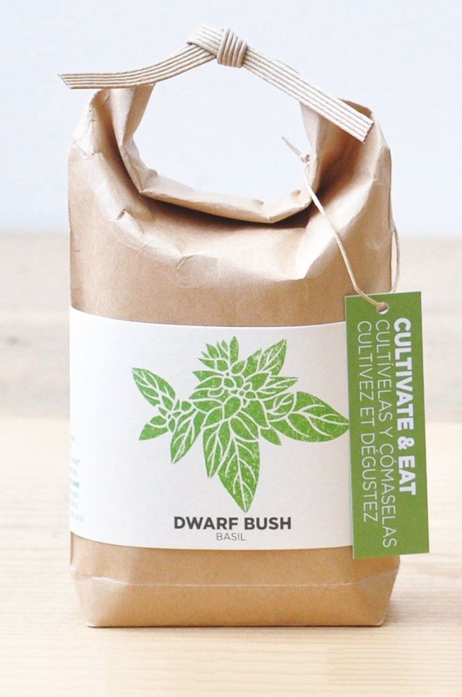 Noted набір для вирощування рослин Cultivate & Eat - Dwarf Basil колір барвистий